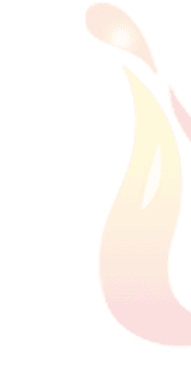 PDASL logo